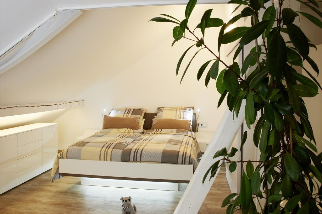 Albloft Apartman Balingen Kültér fotó